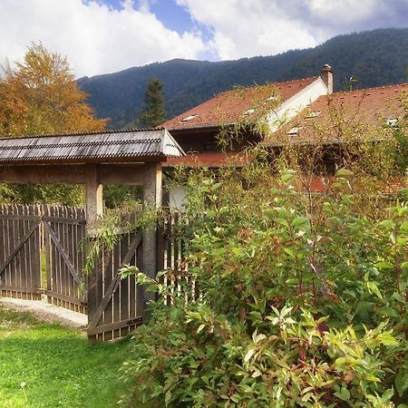Casa Ferica Azuga Exterior foto