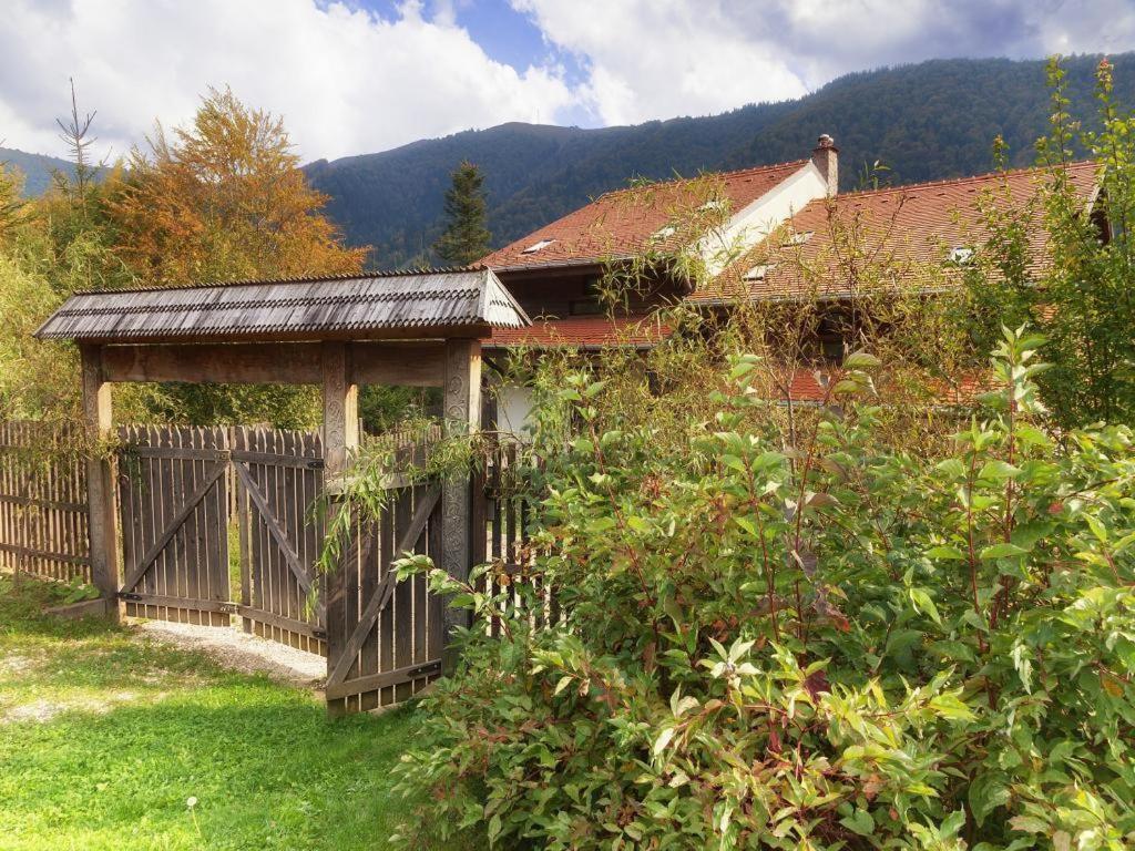 Casa Ferica Azuga Exterior foto